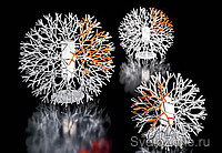    Coral lamps.   Pallucco