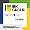    IEK GROUP    