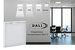   IEK LIGHTING PRO    DALI    